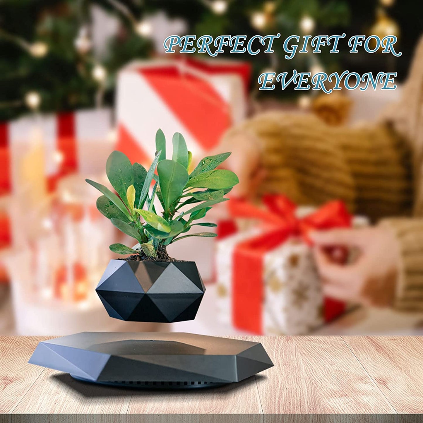 Magnetic Levitating Plant Pot - Rotating Floating Planter for Home and Office Decoration (Black)