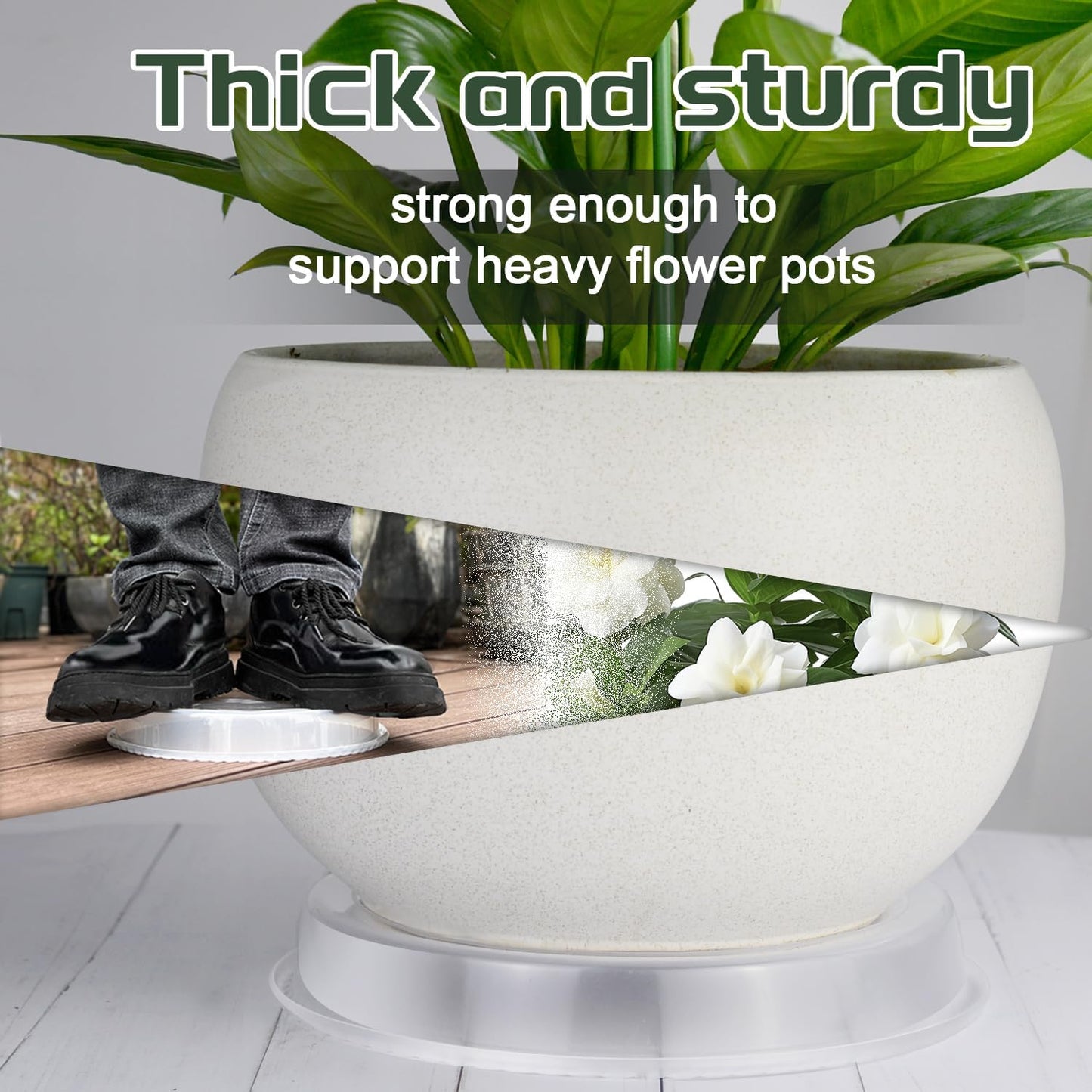 6 Pack Plant Saucers Drip Tray, 6 8 10 12 14 15 Inch Heavy Sturdy Plastic Flower Pot Saucers for Indoor,Clear Plastic Planter Water Tray for Pots Base (10''-Clear)