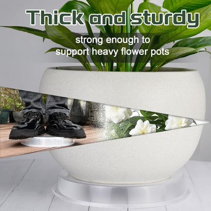 6 Pack Plant Saucers Drip Tray, 6 8 10 12 14 15 Inch Heavy Sturdy Plastic Flower Pot Saucers for Indoor,Clear Plastic Planter Water Tray for Pots Base (10''-Clear)