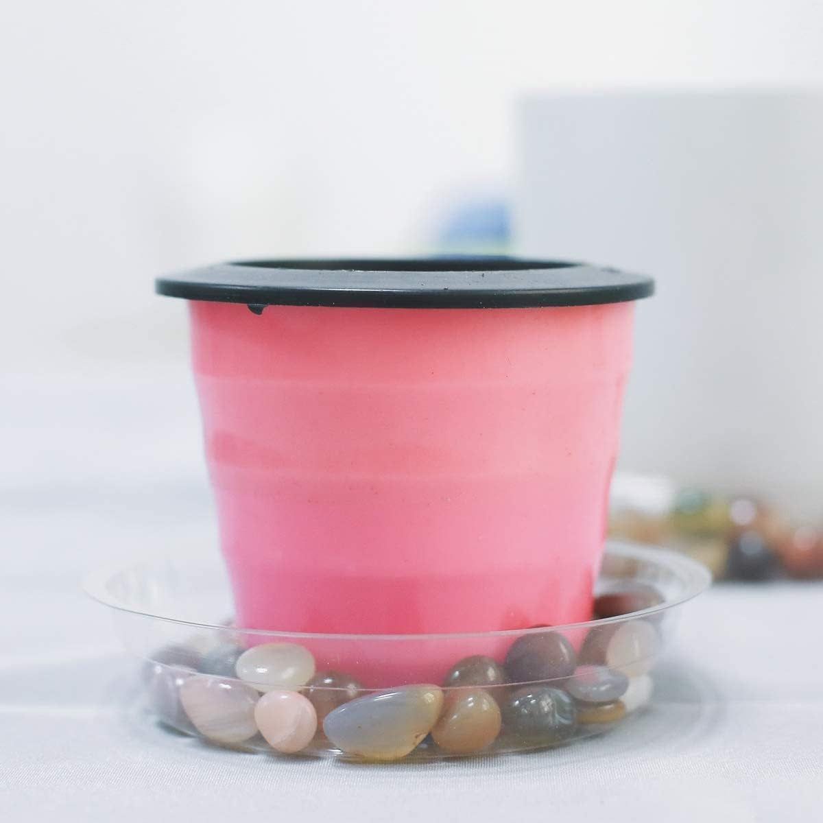6 Inch 5 Pack Clear Plant Saucers Flower Pot Tray Excellent for Indoor & Outdoor Plants