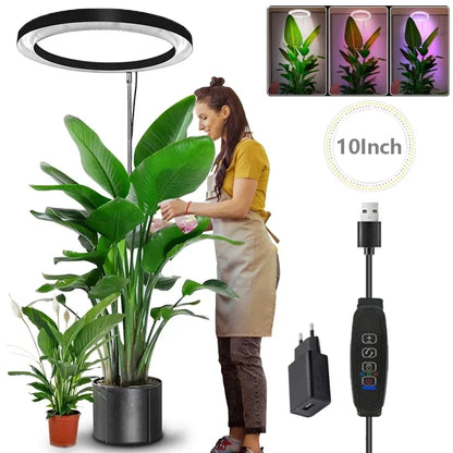 Full Spectrum Indoor Solar LED Growth Light, Fleshy Viridiplantae, Flower Floor Telescopic Fill Light