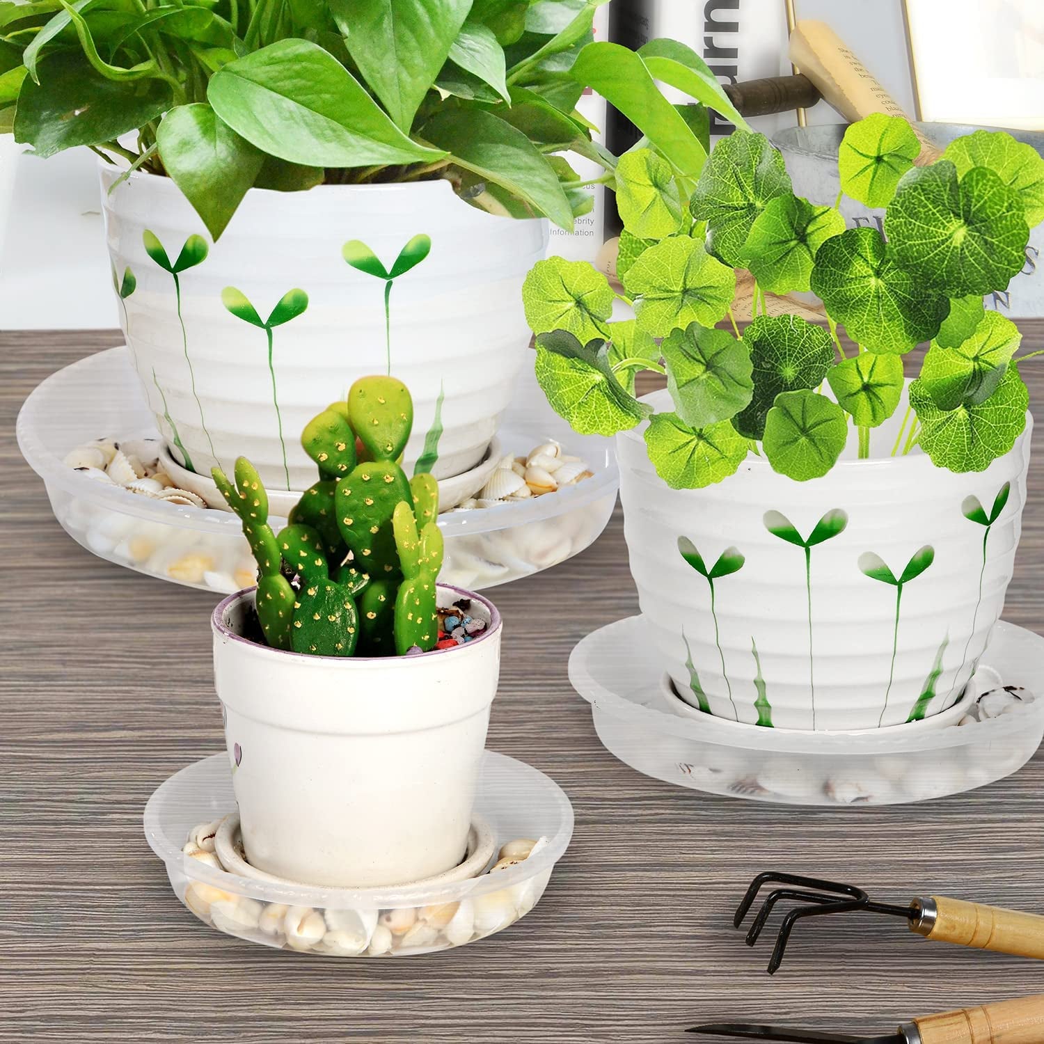 6 Pack Plant Saucers Drip Tray, 6 8 10 12 14 15 Inch Heavy Sturdy Plastic Flower Pot Saucers for Indoor,Clear Plastic Planter Water Tray for Pots Base (10''-Clear)