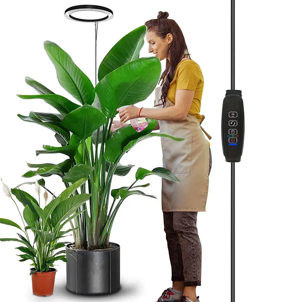 Full Spectrum Indoor Solar LED Growth Light, Fleshy Viridiplantae, Flower Floor Telescopic Fill Light