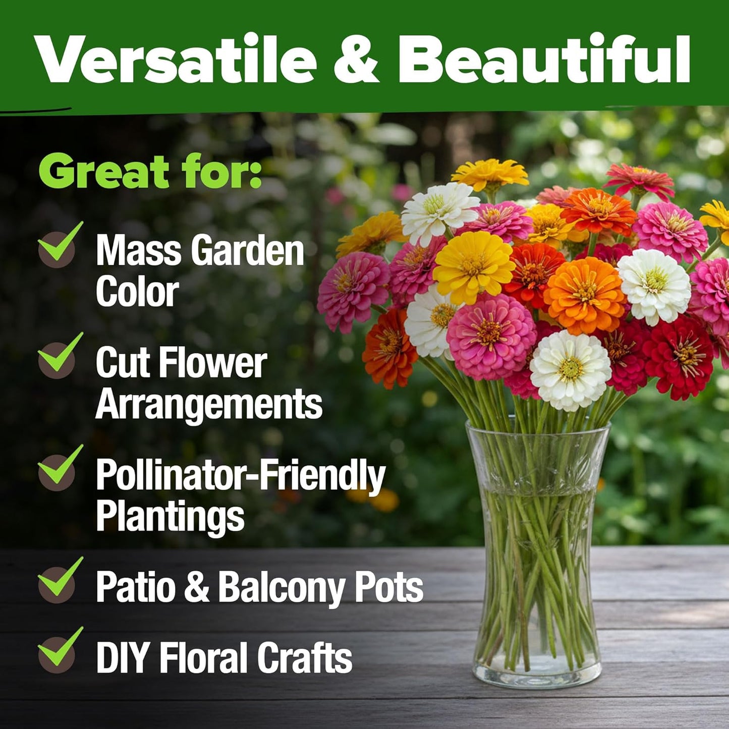 Zinnia Seeds Mix – 17,000 Pumila Compact Zinnia Flower Seeds for Planting Outdoors | Bulk Colorful Annual Cut Flowers for Summer Gardens & Containers (Zinnia Elegans)