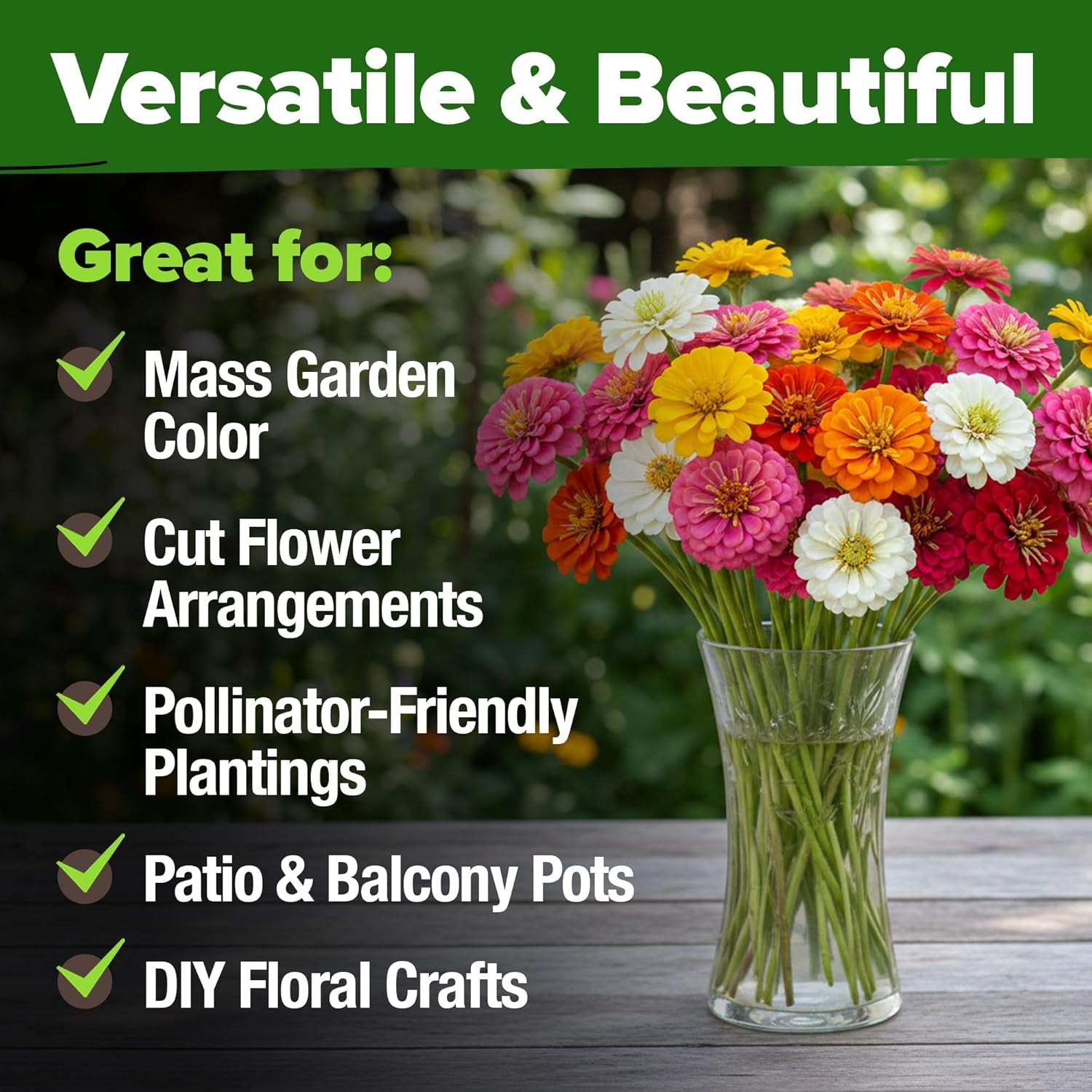Zinnia Seeds Mix – 17,000 Pumila Compact Zinnia Flower Seeds for Planting Outdoors | Bulk Colorful Annual Cut Flowers for Summer Gardens & Containers (Zinnia Elegans)
