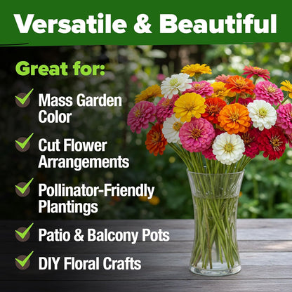 Zinnia Seeds Mix – 17,000 Pumila Compact Zinnia Flower Seeds for Planting Outdoors | Bulk Colorful Annual Cut Flowers for Summer Gardens & Containers (Zinnia Elegans)