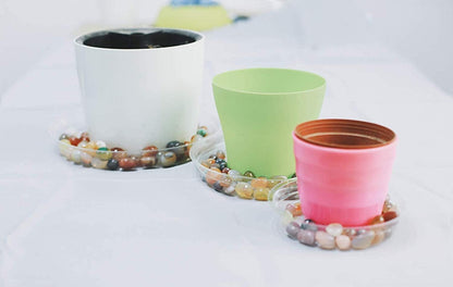 6 Inch 5 Pack Clear Plant Saucers Flower Pot Tray Excellent for Indoor & Outdoor Plants