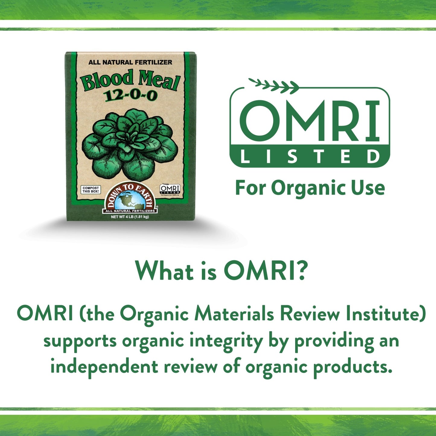 Down to Earth Organic Blood Meal 12-0-0 All-Natural Fertilizer, 20 Lbs