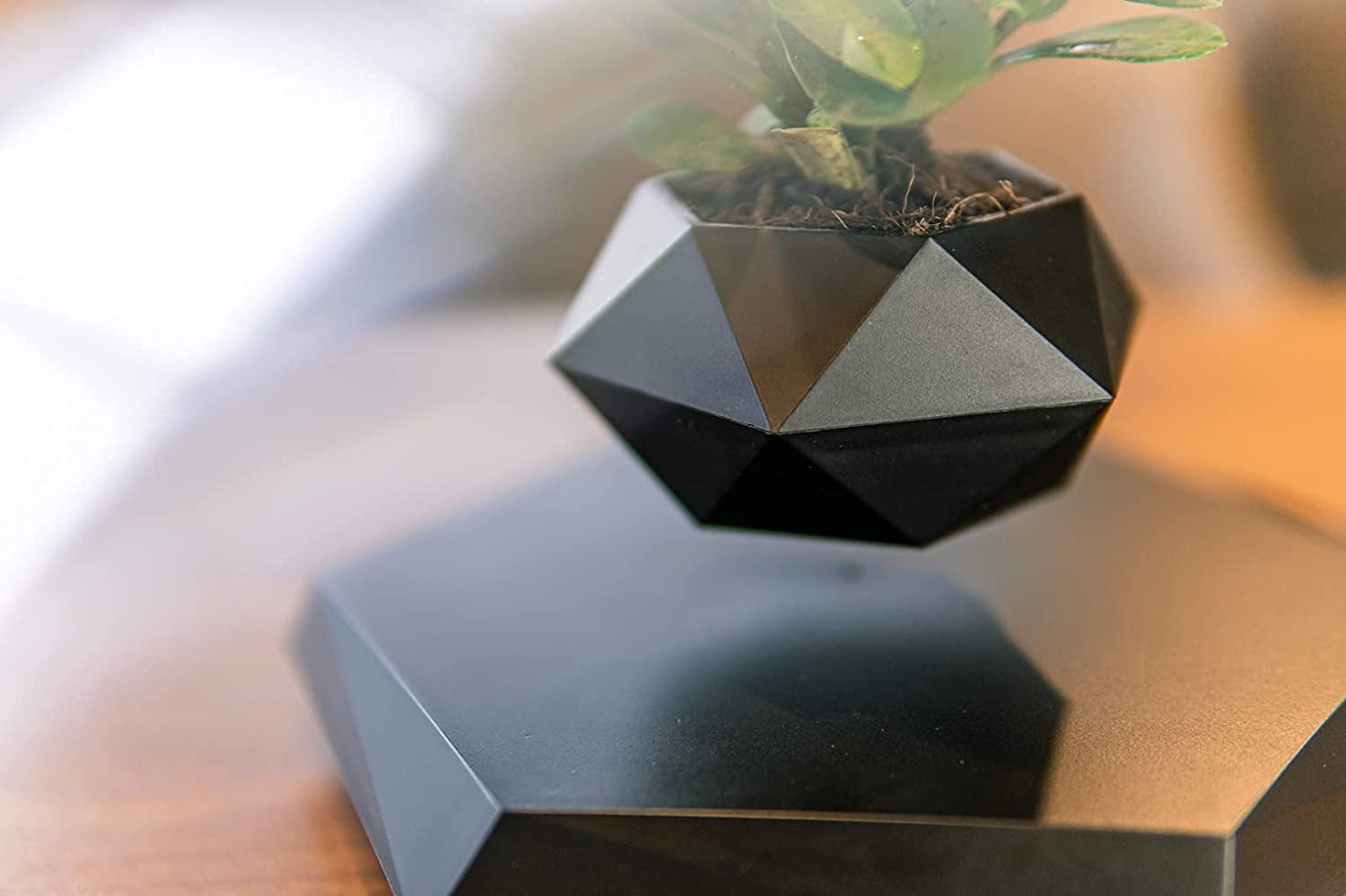 Magnetic Levitating Plant Pot - Rotating Floating Planter for Home and Office Decoration (Black)