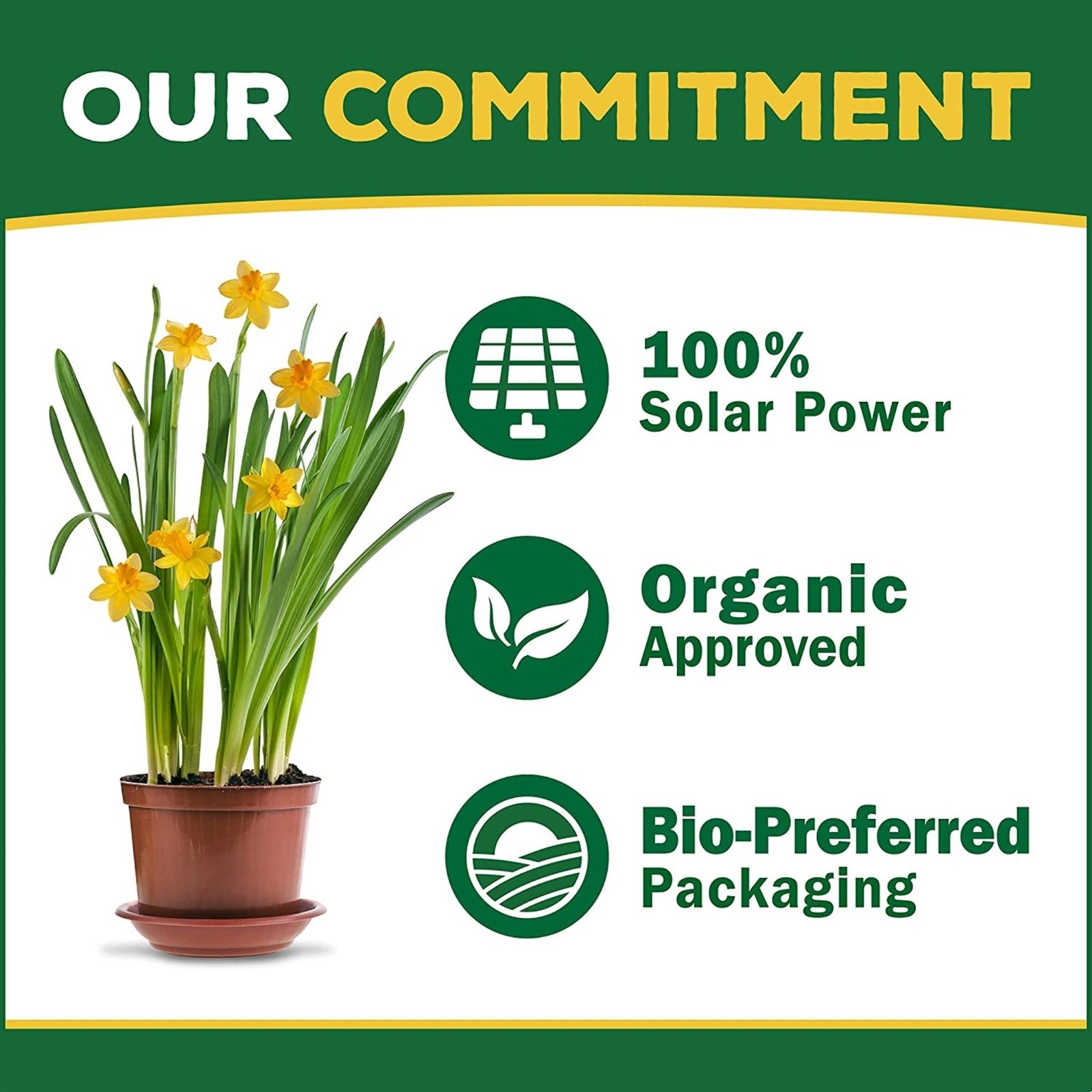 Espoma Organic Plant-Tone 5-3-3 All-Purpose Garden Plant Food, 36Lbs