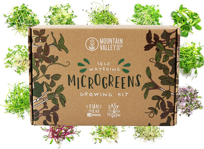 Self-Watering Indoor Microgreens Kit – Complete Soil-Based Growing Set for Vegetable and Herb Microgreens – Includes Black Sunflower, Pea Shoots, Swiss Chard, and Cilantro Seeds
