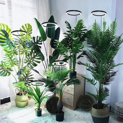 Full Spectrum Indoor Solar LED Growth Light, Fleshy Viridiplantae, Flower Floor Telescopic Fill Light