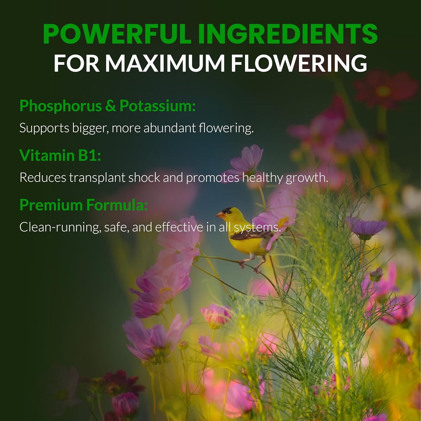 Flower Stacker | 0-7-5 Bloom Booster with Vitamin B1 | High Phosphorus Potassium Flowering Nutrients | Potting Soil Hydroponics Coco | Indoor & Outdoor Plants | 1 Gallon