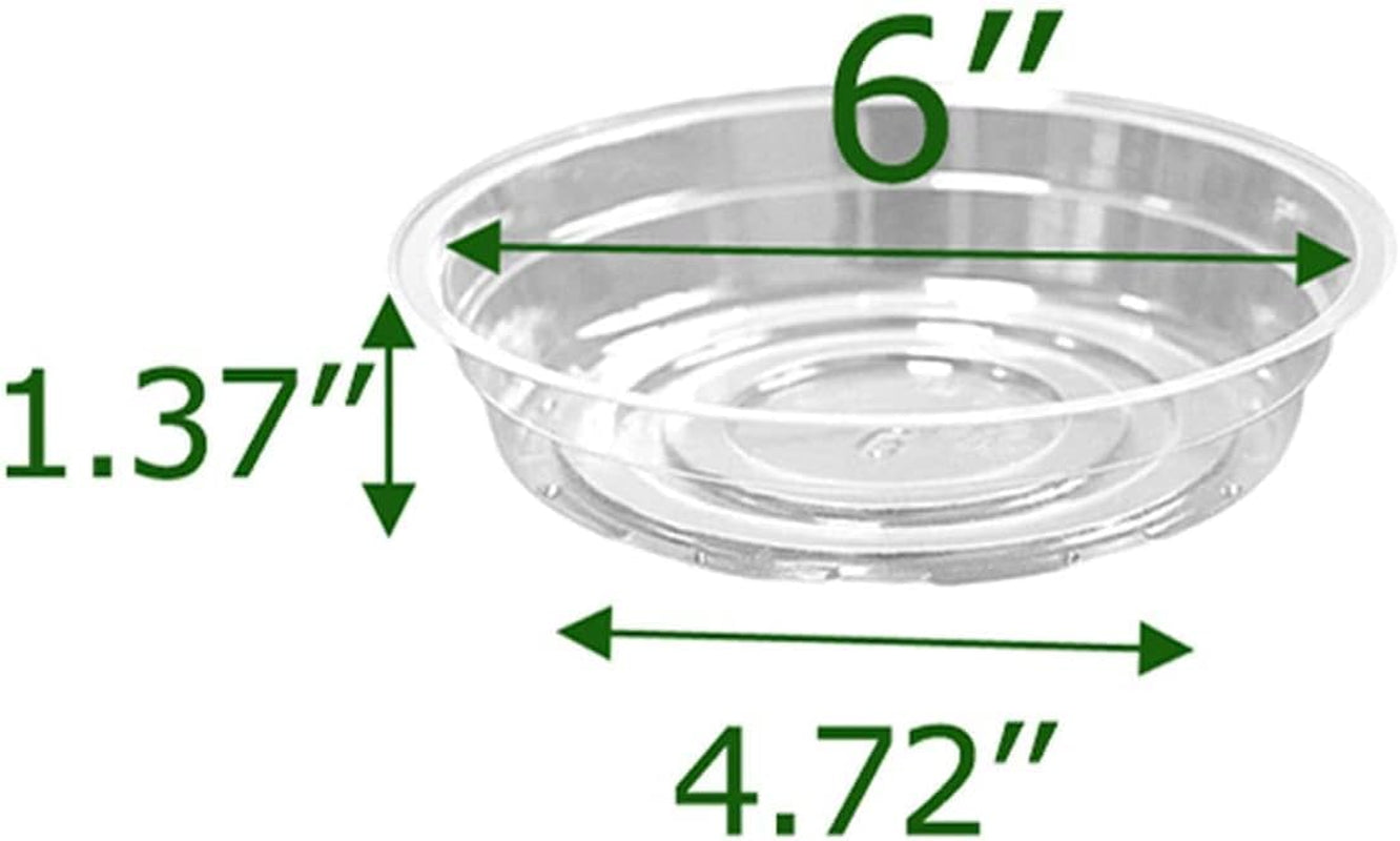 6 Inch 5 Pack Clear Plant Saucers Flower Pot Tray Excellent for Indoor & Outdoor Plants