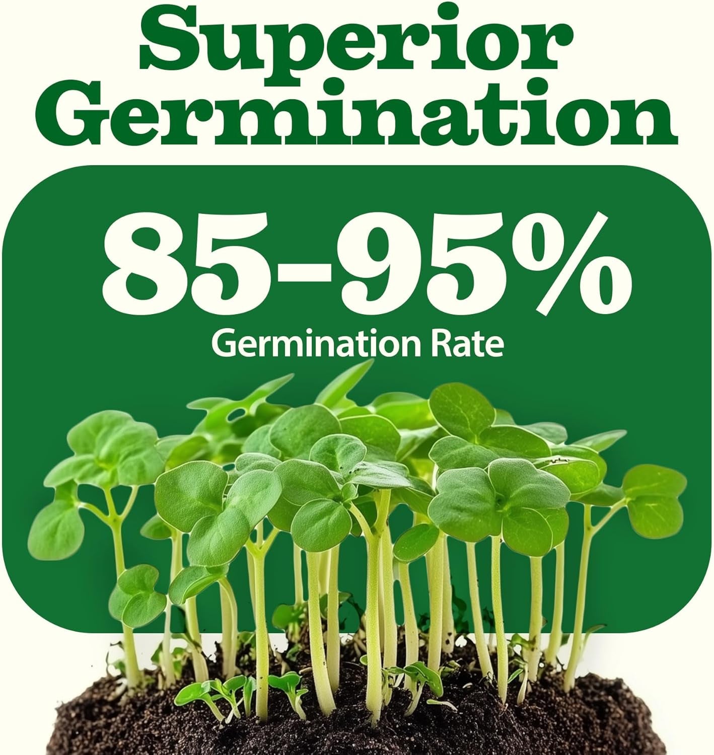 55 Variety Survival Seed Vault 28,000+ Heirloom Non-Gmo Vegetable Seeds for Planting, High Germination, Emergency Food Supply,Year-Round Garden Starter Kit,Gift for Gardeners (55 Varieties)