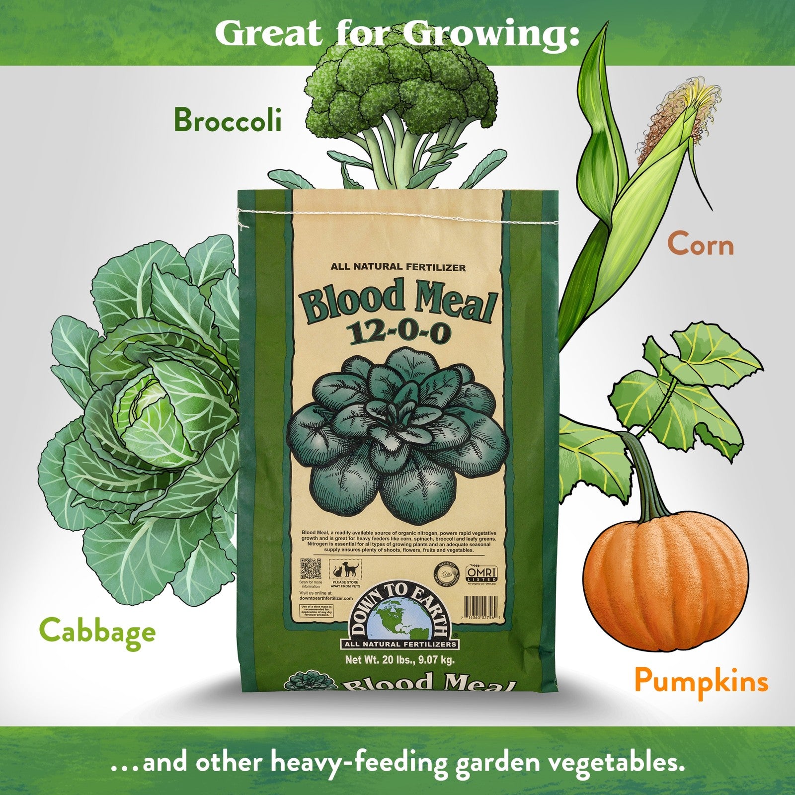 Down to Earth Organic Blood Meal 12-0-0 All-Natural Fertilizer, 20 Lbs