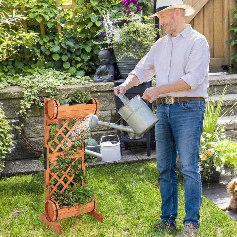 2-Tier Wooden Raised Garden Bed with Trellis