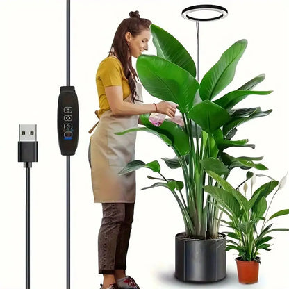 Full Spectrum Indoor Solar LED Growth Light, Fleshy Viridiplantae, Flower Floor Telescopic Fill Light