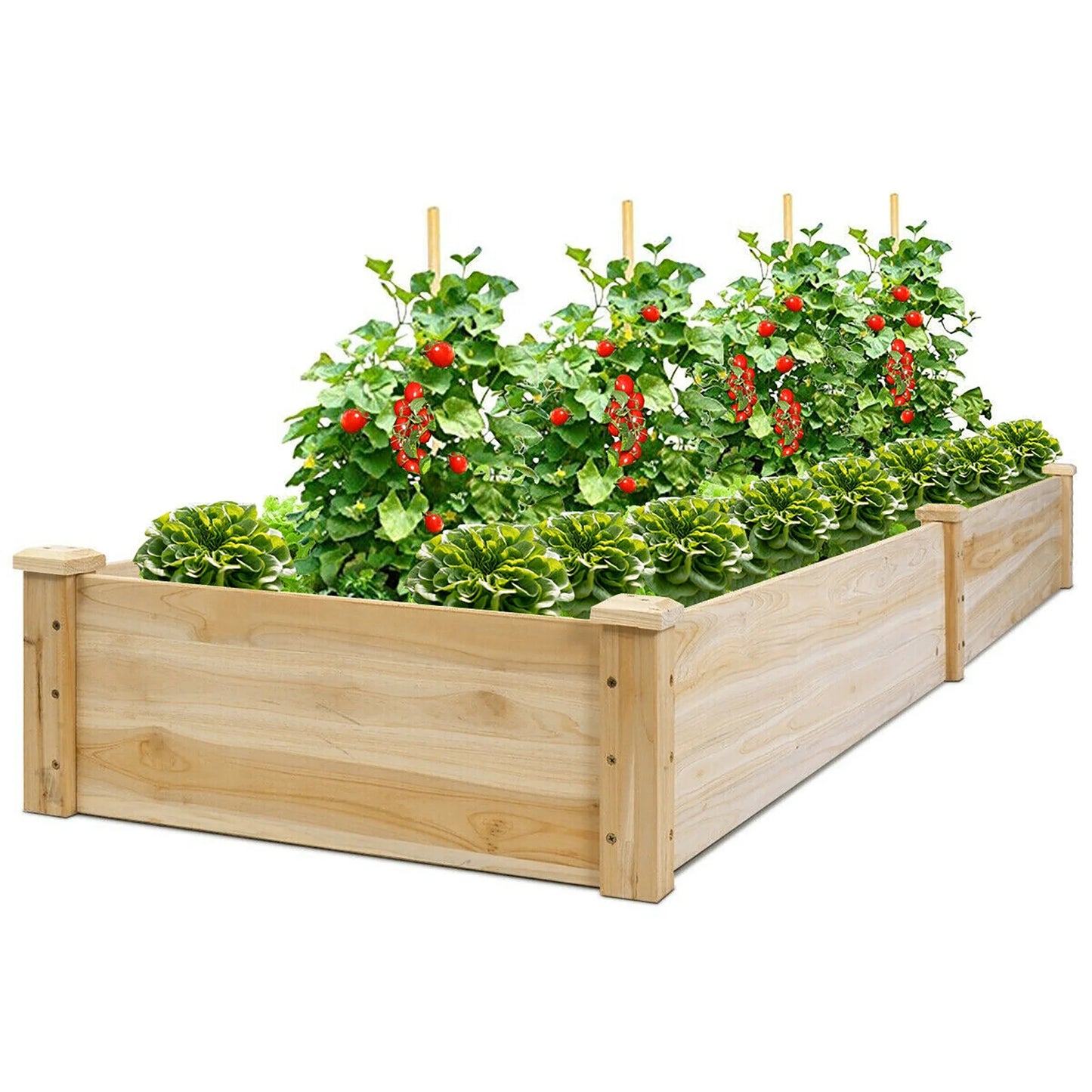 Wooden Vegetable Raised Garden Bed Backyard Patio Grow Flowers Planter with 2 Planting Compartments