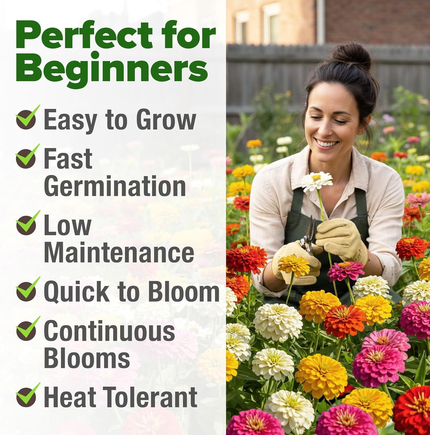 Zinnia Seeds Mix – 17,000 Pumila Compact Zinnia Flower Seeds for Planting Outdoors | Bulk Colorful Annual Cut Flowers for Summer Gardens & Containers (Zinnia Elegans)