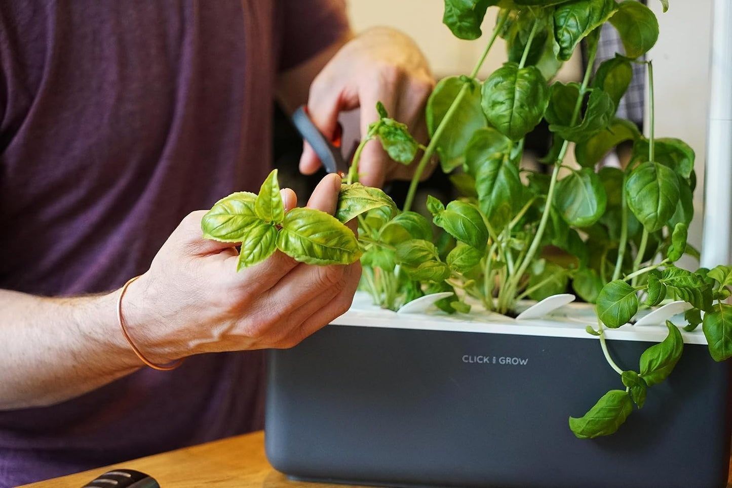 Click & Grow Indoor Herb Garden Kit with Grow Light | Smart Garden for Home Kitchen Windowsill | Easier than Hydroponics Growing System | Vegetable Gardening Starter (3 Basil Pods Included), Grey