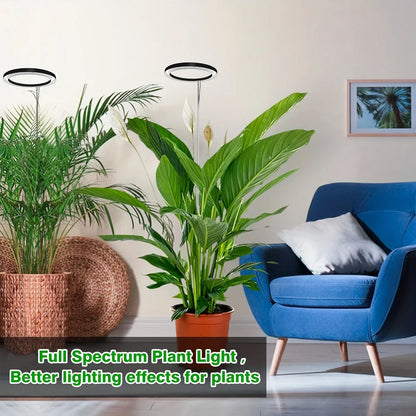 Full Spectrum Indoor Solar LED Growth Light, Fleshy Viridiplantae, Flower Floor Telescopic Fill Light