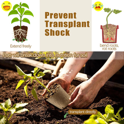 120 Pack Peat Pots for Seedlings, 3.15 Inch Biodegradable Seed Starter Planting Pots for Seedlings