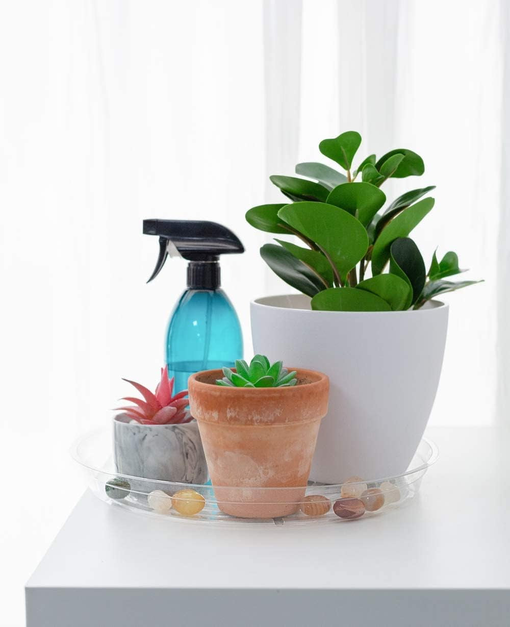 6 Inch 5 Pack Clear Plant Saucers Flower Pot Tray Excellent for Indoor & Outdoor Plants