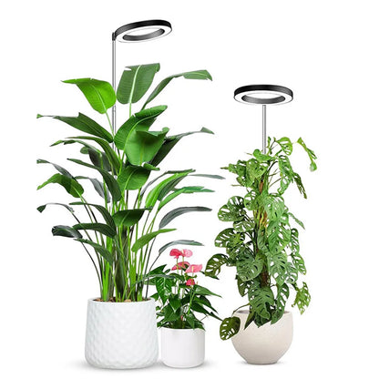 Full Spectrum Indoor Solar LED Growth Light, Fleshy Viridiplantae, Flower Floor Telescopic Fill Light